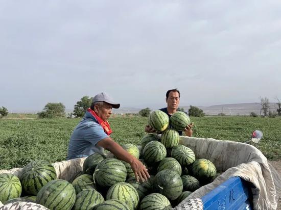 南亚吃瓜,瓜果飘香，品味异域美食之旅