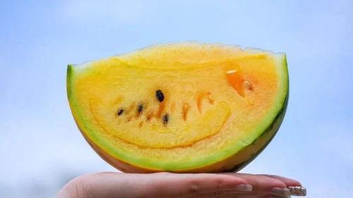 吃瓜网云南,探寻吃瓜网上的云南风味之旅