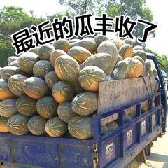 吃瓜的诱惑图片,一场视觉盛宴的心理学解析