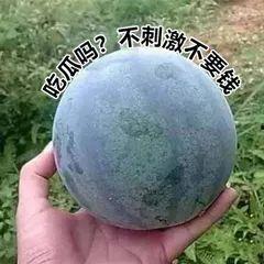 吃瓜的诱惑图片,一场视觉盛宴的心理学解析