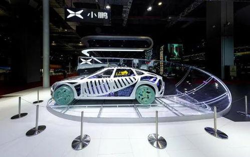 排队吃瓜的特斯拉,特斯拉现象背后的科技魅力与市场风云