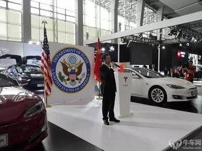 排队吃瓜的特斯拉,特斯拉现象背后的科技魅力与市场风云