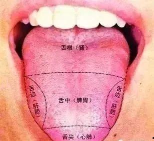 吃瓜把舌头吃破了图片,吃瓜引发的意外“事故”