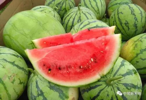 718xs吃瓜,揭秘娱乐圈的“吃瓜”风云