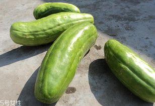 福建脆瓜怎么吃,解锁清新口感新体验