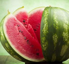 吃瓜正能量头像,吃瓜头像背后的温馨故事