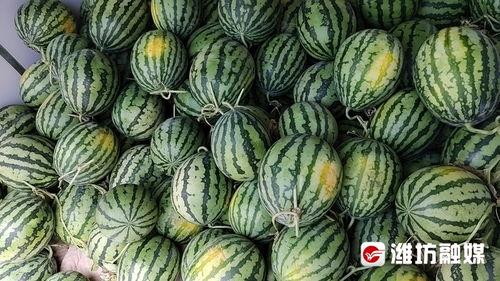 南和街吃瓜,吃瓜群众的欢乐盛宴