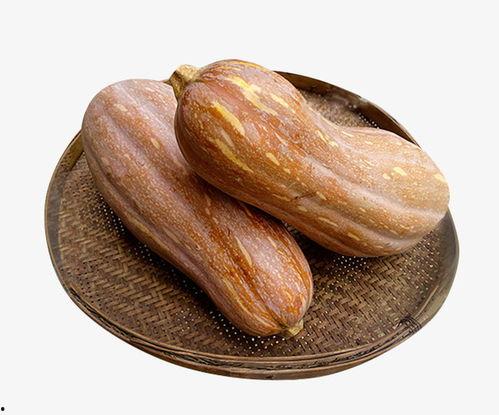 狗头吃瓜素材,宠物界的“吃瓜群众”