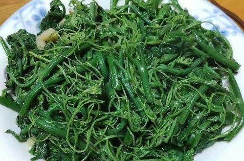 减肥期间吃佛手瓜,低热量高营养的减肥美食选择