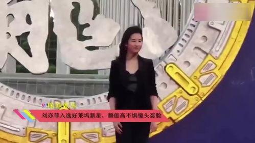 吃瓜鹅视频解说,揭秘娱乐圈幕后故事