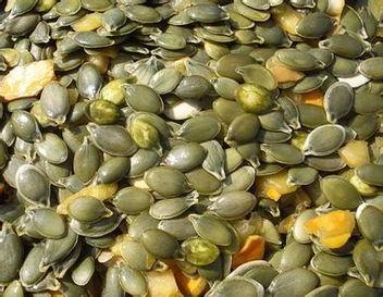 小孩吃籽瓜,营养满溢，孩子健康成长的秘密武器