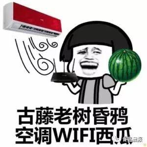 许昌疫情 吃瓜,吃瓜群众视角下的防疫战记”