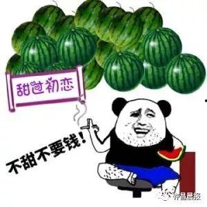 许昌疫情 吃瓜,吃瓜群众视角下的防疫战记”