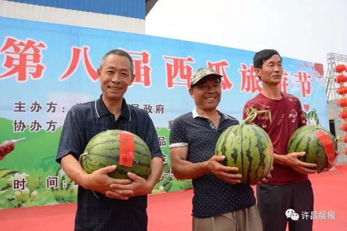 许昌疫情 吃瓜,吃瓜群众视角下的防疫战记”