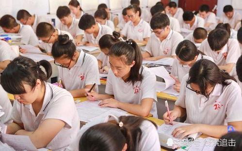 吃瓜队长封校,吃瓜队长揭秘校园封闭管理背后的故事