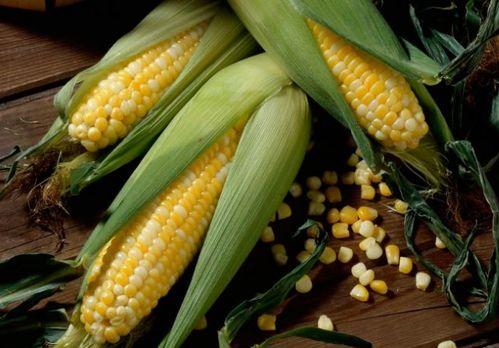 娱乐吃瓜酱玉米,揭秘娱乐圈那些鲜为人知的幕后故事