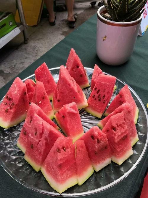 瓜哥吃瓜王,揭秘娱乐圈幕后真相