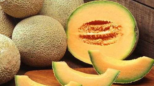 瞳瞳吃哈密瓜,瞳瞳的哈密瓜美食之旅