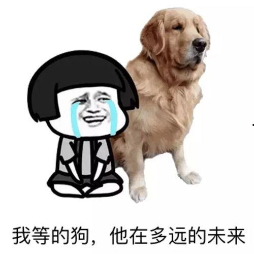 分手现场单身狗吃瓜,单身狗围观吃瓜，笑料百出！