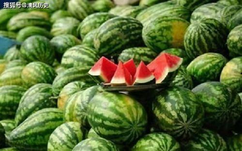 吃瓜全集在线观看,揭秘娱乐圈幕后真相，带你领略明星们的真实生活