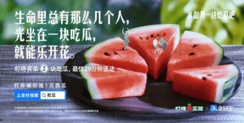 吃瓜仙女文案,揭秘娱乐圈的甜蜜与苦涩