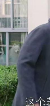 吃瓜视频天堂视频,热门短视频平台的魅力与争议