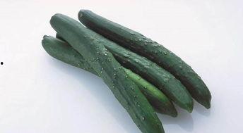 宫妃吃瓜日常,宫妃们的吃瓜日常揭秘