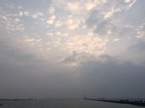 漂洋过海吃瓜,品味异国瓜果之旅