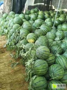 吃瓜中心网最热的瓜,揭秘最热瓜背后的惊人真相！