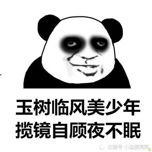 恶搞朋友有瓜吃,一场欢乐的友谊盛宴