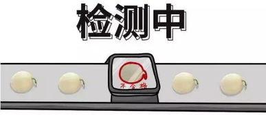 吃瓜群众如何应对,吃瓜群众如何巧妙应对网络舆论风波