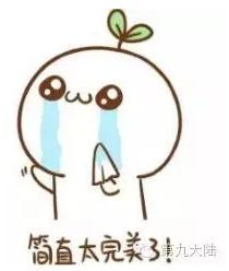 阿八吃八瓜,一场奇妙的味蕾冒险之旅