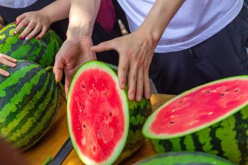 广州学校吃瓜,揭秘校园吃瓜盛况