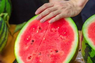 广州学校吃瓜,揭秘校园吃瓜盛况