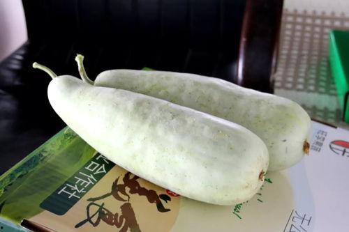 博洋瓜吃籽,探寻瓜籽的独特魅力与营养价值