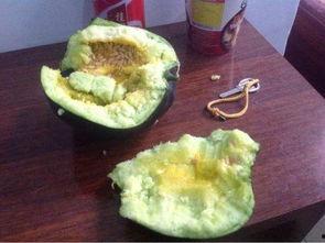 吃稀瓤的瓜,探寻夏日清凉之选