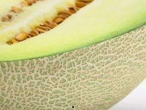 吃稀瓤的瓜,探寻夏日清凉之选