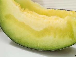 吃稀瓤的瓜,探寻夏日清凉之选