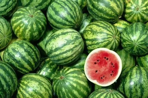 去台湾吃瓜,探寻宝岛瓜果飘香的风味之旅