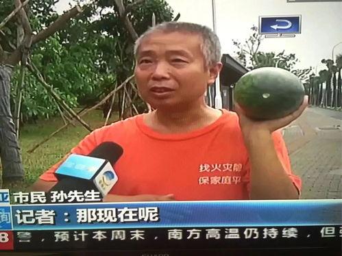 朝阳吃瓜群众事件