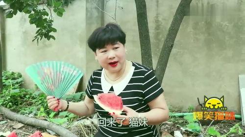 吃瓜病媳妇,揭秘网络热议背后的家庭温情与矛盾