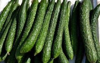 吃鲜瓜减肥吗,夏日清爽瘦身新选择