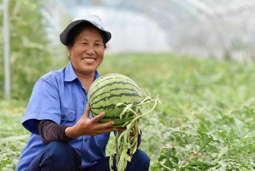 吃瓜群众有福了,福利来袭，精彩不容错过！