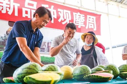 吃瓜群众有福了,福利来袭，精彩不容错过！