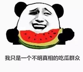 吃瓜些你吃嘛 刷刷刷,刷刷刷，瓜果飘香，你吃了吗？