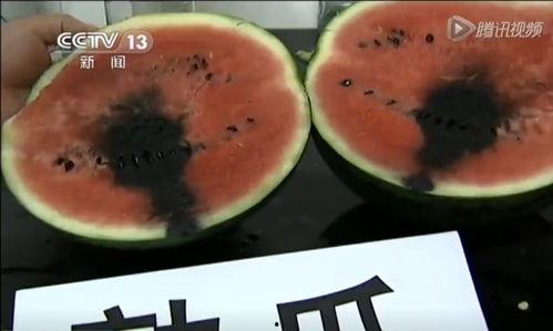 带你吃瓜视频素材下载,带你揭秘“带你吃瓜”视频素材下载背后的秘密