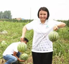 宜家吃瓜群众事件,一场引发热议的顾客冲突风波