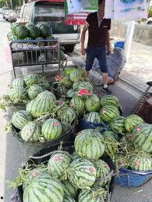 康县吃瓜老头事件