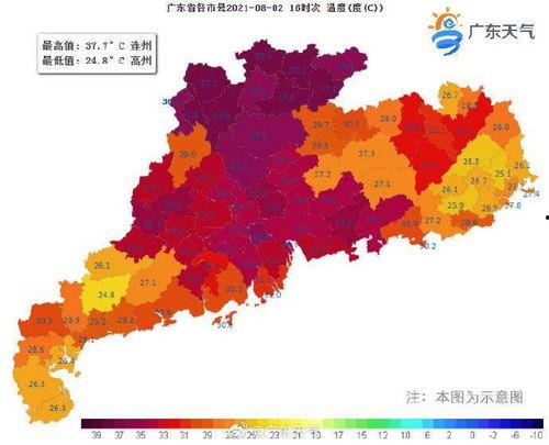 雷雨吃瓜,揭秘娱乐圈的幕后风云