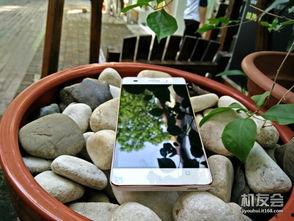 黑白双煞 吃瓜,揭秘吃瓜群众的狂欢盛宴